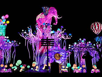 Put Wild Lights 2023 At The To...